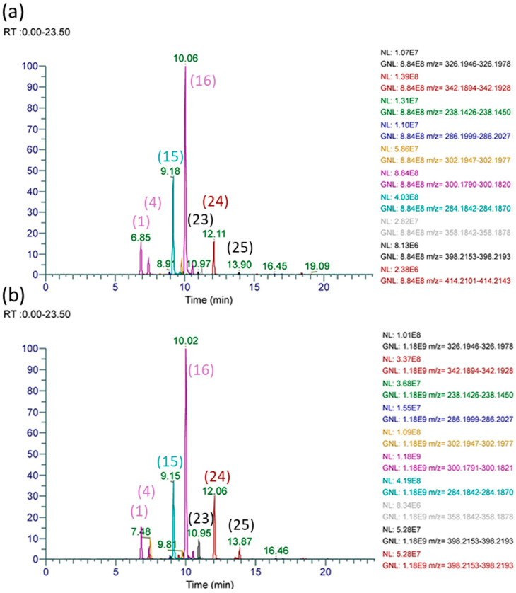 HRAM UHPLC-MS/MS chromatograms of prominent pyrrolizidine alkaloids of (a) extracted A. conyzoides flowers and (b) extracted stingless bee honey sample HI-7 showing the major peaks corresponding to supinine N-oxide (16) and supinine (15) and 3′-O-acetylsupinine N-oxide (24, or isomers) and echimidine isomer (25).