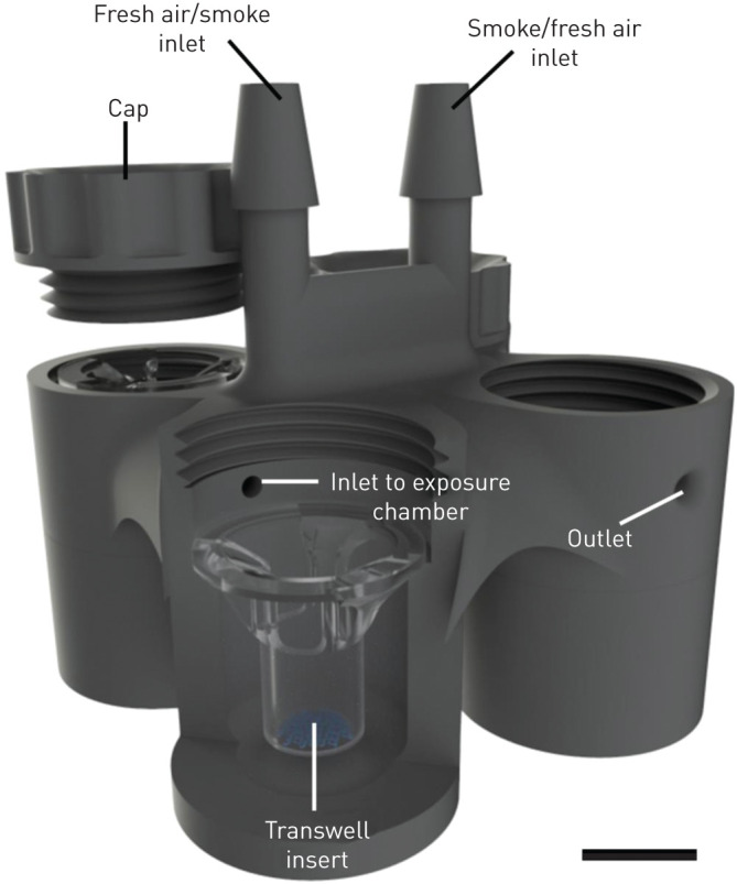 Three-dimensional schematic view of the in vitro exposure system. As shown, air or exposure (e.g. smoke) delivered to the inlet is equally distributed across the four exposure chambers which house the Transwell inserts. Circulated air or exposure (e.g. smoke) exits passively through the outlet in each exposure chamber. Scale bar=1 cm.