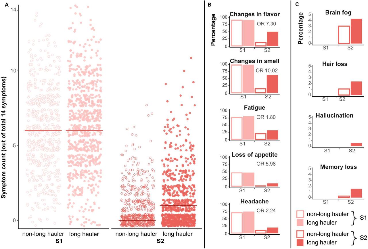 A: Comparison of overall number of non-chemosensory symptoms at baseline (S1, light pink) and follow-up (S2, dark pink), stratified by smell long-hauler (LH) status at S2. B: Comparison of selected symptoms at S1 and S2 stratified by smell long-haulers status at S2. C: Percentage of rare symptoms spontaneously mentioned in free text responses in English, Spanish, Dutch, Italian, and French.