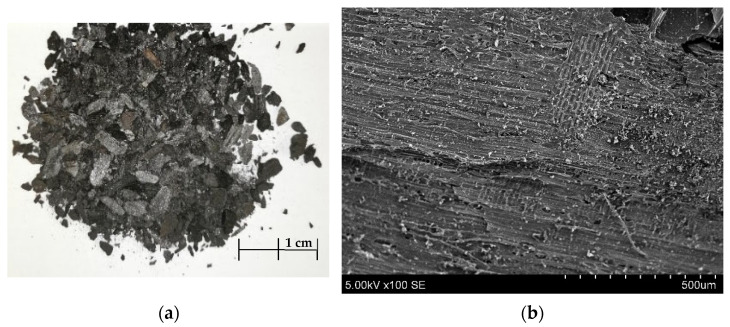 Picture of charcoal after milling (a), SEM of charcoal (×)100 (b).