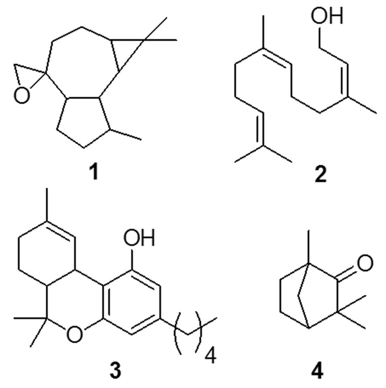 Chemical structures aromadendrene oxide (1), (E,E)-farnesol (2), dronabinol (3), and fenchone (4).