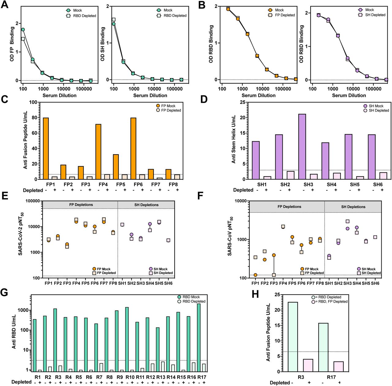 Antigen depletions effectively remove antigen specific antibodies.(A) Selectivity of RBD depletion. Serum samples were subject to Mock or RBD depletion and then tested by ELISA (average of n = 2 technical replicates) for binding to either the Fusion Peptide (left) or Stem Helix (right). Two representative samples are shown for each depletion for samples that had strong binding to either the FP or the SH.(B) Selectivity of Fusion Peptide or Stem Helix Depletion. Serum samples were subject to depletion against either the FP (left) or the SH (right) and then tested for binding to RBD by an ELISA (average of n = 2 technical duplicates). Two representative samples are shown for each depletion.(C-D) Depletion ELISA detailing the effect of FP (C) or SH (D) depletion on 6-8 broadly neutralizing samples. Samples with high FP or SH binding were chosen for depletion with those antigens. U/mL is calculated with 1 U/mL defined as the equivalent reactivity seen by 1 µg/mL, 76E143 for FP and S2P641 for SH. Cutoffs were defined by a negative control antibody (2A10).(E-F) Serum samples were subject to either fusion peptide or stem helix depletion to remove peptide specific antibodies and then tested for neutralizing activity (average of n = 2 technical replicates) to either SARS-CoV-2 (E) or SARS-CoV (F). Mock samples were combined with beads only for mock depletion.(G) Depletion ELISA (average of n = 2 technical replicates) detailing the effect of RBD depletion on 17 broadly neutralizing samples. Samples with high FP or SH binding were chosen for depletion with those antigens. U/mL is calculated with 1 U/mL defined as the equivalent reactivity seen by 1 µg/mL RBDCOV182 (isolated in house) antibody for RBD. Cutoffs were defined by a negative control antibody (2A10).(H) RBD Depleted donors with remaining neutralizing activity were subject to fusion peptide depletion and an ELISA (average of n = 2 technical replicates) was done to confirmed depletion. Cutoffs were defined by a negative control antibody (2A10).
