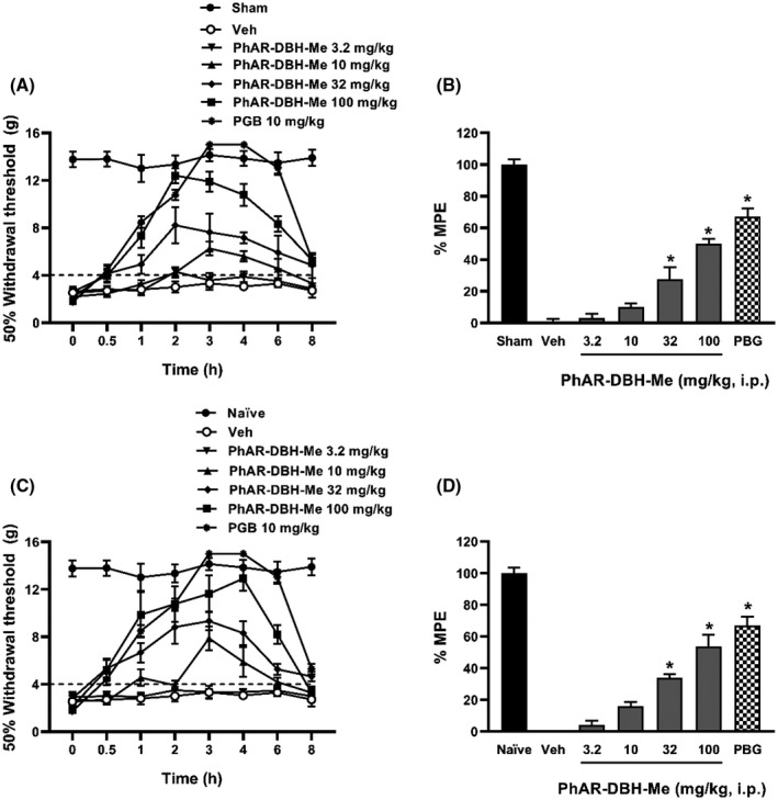 Temporal course of the antiallodynic effect of PhAR‐DBH‐Me in neuropathic rats induced by SNL surgery (A) or cisplatin (C). Dose‐response curve of the % Maximum Possible Effect (MPE) induced by logarithmic increased doses of PhAR‐DBH‐Me (3.2‐100 mg/kg, i.p.) on allodynia induced by SNL (B) or cisplatin (D). Pregabalin (PGB) was used as a reference drug. Data show the mean of 6 animals ± SEM P < .0001 vs vehicle was determinate by one‐way analysis of variance (ANOVA), followed by Tukey´s test