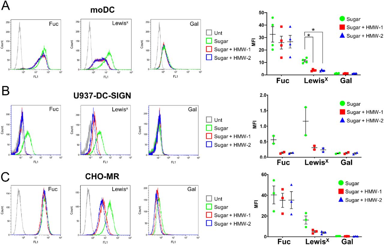 Inhibition of sugar uptake by MR and DC-SIGN expressing cells by HMW-1 and HMW-2.Cells were treated with HMW-1 or HMW-2 (10 µg/ml) for 1 h, then fluorescently labelled sugars were added for a further 1 h. Association of fluorescent sugars to cells was measured by flow cytometry. Representative histograms and scatter plots depicting mean ± SEM of median fluorescence intensity (MFI) are shown for each cell type. A. Human moDCs (expressing MR and DC-SIGN) internalise fucose (Fuc), Lewisx and galactose (Gal) PAA-FITC polymers but only Lewisx uptake is reduced by HMW-1 and HMW-2, N=4. B. U937-DC-SIGN cell line (express DC-SIGN, but not MR) internalise fucose and Lewisx polymers and their uptake is reduced by HMW-1 and HMW-2, N=2. C. CHO-MR cells (express MR, but not DC-SIGN) internalise fucose and Lewisx polymers and only Lewisx uptake is reduced by HMW-1 and HMW-2, N=3. Repeated-measures ANOVA was performed to determine statistical significance; *, ≤0.05. Fuc: fucose; Gal: galactose.