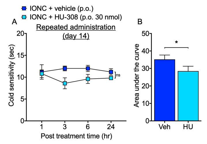 Effect of oral administration of HU-308 on cold hypersensitization in IONC mice. (A) The responsiveness to acetone was assessed at 1, 3, 6, and 24 h following repeated oral administration of HU-308 (HU, 30 nmole, 100 µL, p.o.). (B) The area under the curve was determined from the acetone test data following repeated oral administration and compared. Individual data and mean ± SEM are shown. N = 5 (A); n.s., not significant (two-way RM ANOVA followed by Sidak’s multiple comparisons test). (B); * p < 0.05 (Unpaired t-test).