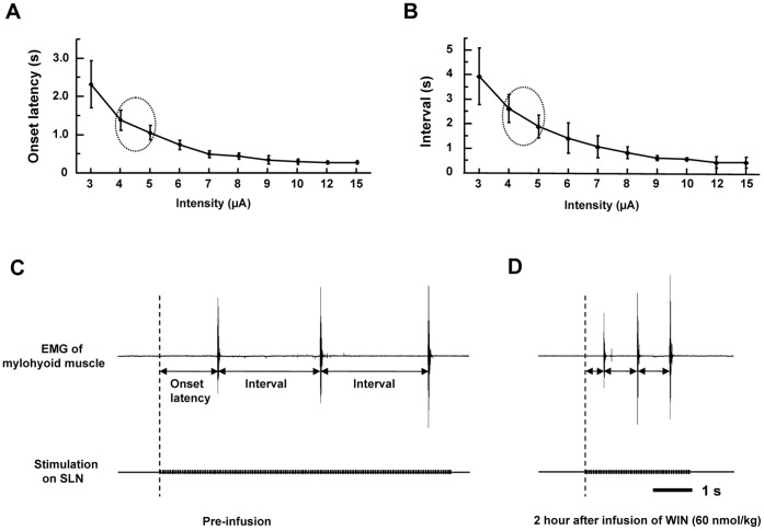 Example of facilitation of the electrically-stimulated swallowing reflex by the cannabinoid agonist, WIN 55,212-2.The onset latency to the first swallow (A) and intervals between swallows (B) induced by different intensities of electrical stimulation of the SLN of naïve rats (n = 5). The ellipses indicate the characteristics of the swallowing reflex by the electrical stimulation at 4–5 µA. The typical example that the swallowing reflex by the SLN stimulation before (C), and two hours after (D), infusion of WIN 55,212-2. Note that WIN 55,212-2 decreases the onset latency to the first swallow and the intervals between swallows.