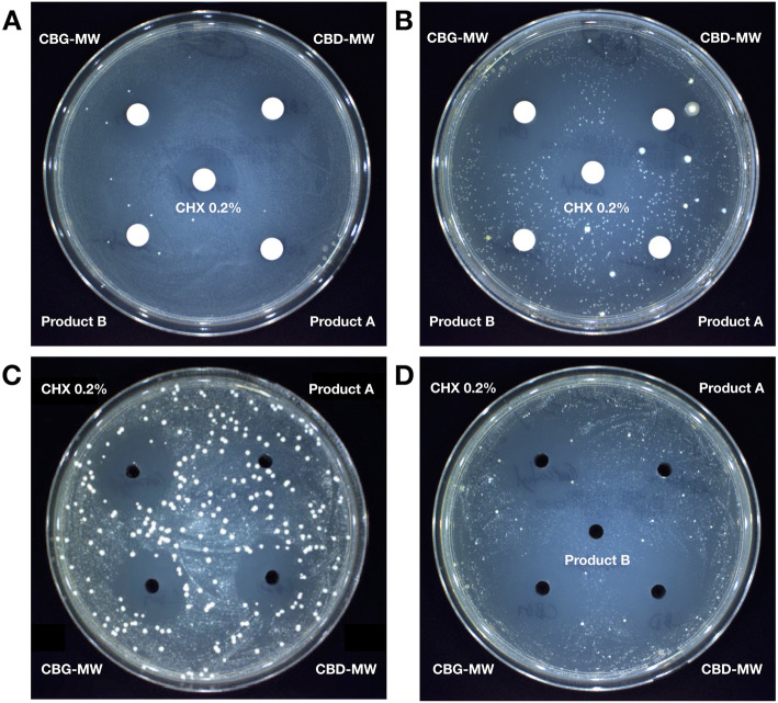 Microbiological assay of mouthwash products against total-culturable aerobic bacterial content from dental plaque samples. Some examples from disk diffusion method (a, b) and agar well diffusion method (c, d) are shown. CHX0.2% = chlorhexidine 0.2%. Disk = 6 mm; agar well = 4 mm