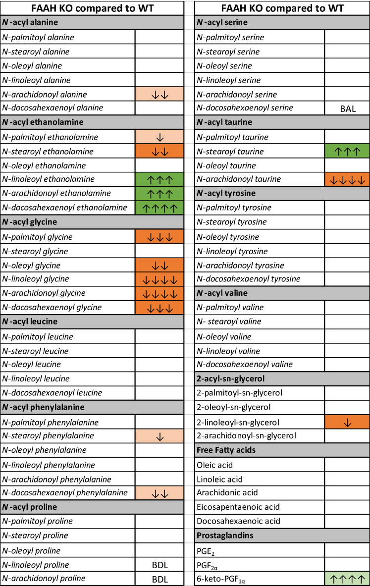 Differences in lipid levels in FAAH KO SMG compared to WT. Fold change denoted by arrows 1 = 1–1.49; 2 = 1.5–1.99; 3 = 2–2.99; 4 = 3–9.99; 5 = 10 or more. Green significant increases, orange significant decreases, light green and orange trending changes, white detected but no significant differences, BDL below detection limit, BAL below analytical limits though present in some samples.