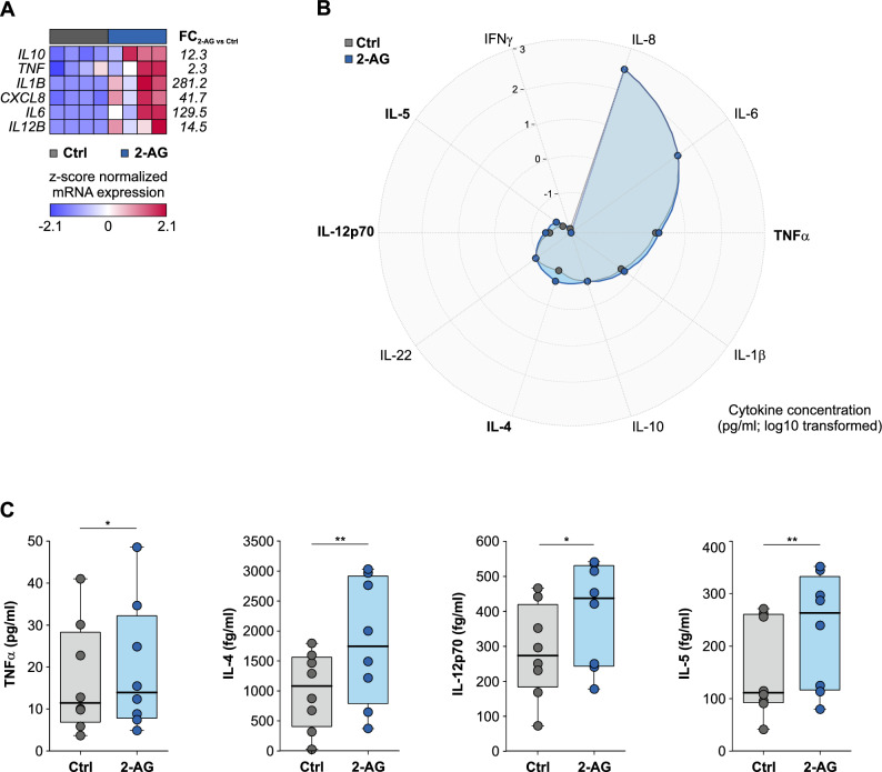 Human monocytes release pro-inflammatory cytokines after 2-AG treatment. Peripheral human CD14+ monocytes were cultured for 24 h in the presence and absence of 2-AG. (A) Heatmap for z-score transformed transcript levels of pro-inflammtory cytokines in monocytes activated by 2-AG and respective controls. (B) Radar plot for log10-transformed cytokine concentrations in the supernatant of monocytes cultured with or without 2-AG. Cytokines significantly induced by 2-AG treatment are marked by bold letters. (C) Box-and-whisker plots for cytokine concentrations which increased significantly after 2-AG treatment of human peripheral monocytes. (n = 8).