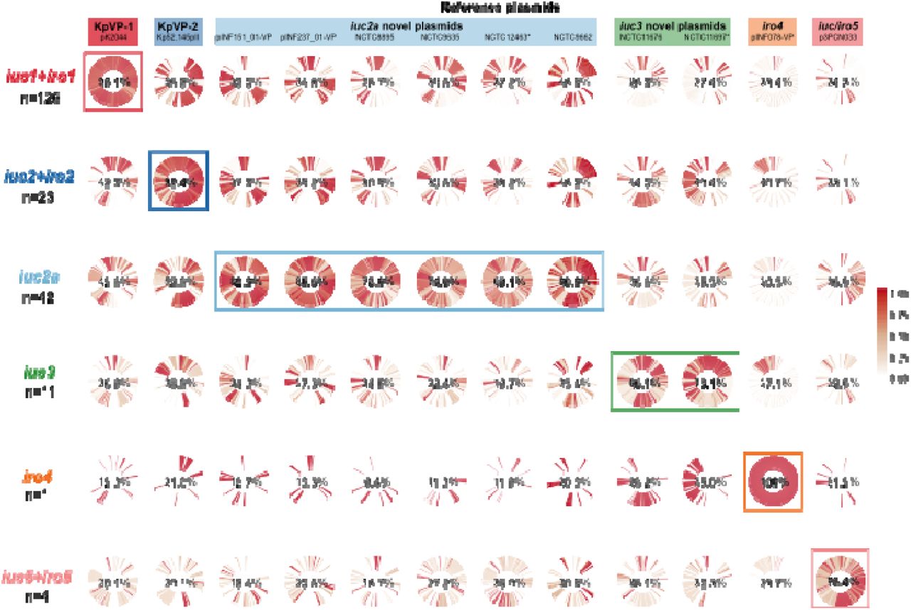Conservation of reference plasmid genes amongst strains with plasmid-associated iuc/iro lineages.Cells show circularised heatmaps indicating the frequency of each gene in a given reference plasmid (column); amongst strains that contain a given iro and/or iuc lineage (row). Around each circle, genes are ordered by their order in the corresponding reference plasmid. Percentages in the middle of each cell indicates the mean coverage of the reference plasmid sequence (column), amongst strains belonging to each iro/iuc lineage (row); bold labels and boxes highlight groups of strains carrying the same iuc/iro lineage as the reference plasmid. * indicates the two plasmids represented by incomplete plasmid sequences.
