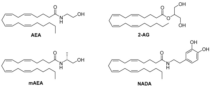 Structures of the CB1 functionally-selective endocannabinoids AEA, 2-AG, mAEA, and NADA.