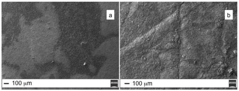PES (a) and PES/ZnO (b) mats treated with E. coli ATCC 35,218 (Scale bar 100 μm).