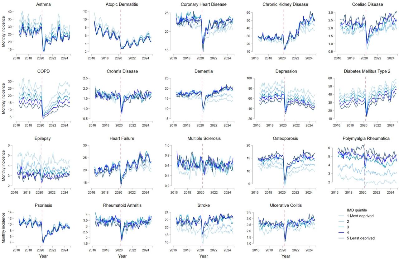 Monthly incidence rates for 19 long-term conditions in England between April 1, 2016, to November 30, 2024, separated by socioeconomic status. Socioeconomic status was divided into quintiles of Index of Multiple Deprivation (IMD), from 1 (most deprived quintile) to 5 (least deprived quintile). Incidence rates per 100,000 population are presented as 3-monthly rolling averages of the current, preceding and subsequent months. No age or sex-standardisation was performed due to computational requirements. The vertical dashed line corresponds to the onset of the first COVID-19 lockdown in England (March 2020).