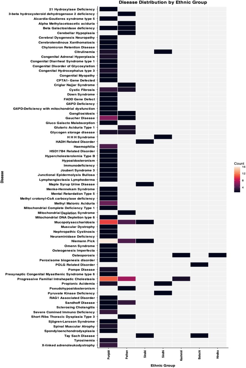 RGDs distribution among ethnic groupsRGDs are distributed among different ethnic groups, highlighting differences in the frequency of RGD within each group