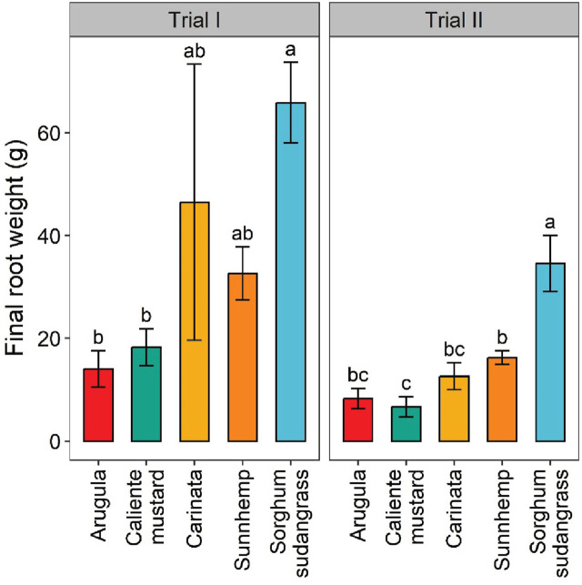 Final fresh-root weight of crops at termination of greenhouse trials. Values are means (N = 6) with error bars indicating standard errors. Within a trial, means that share a letter are not significantly different based on Tukey’s HSD (P < 0.05).