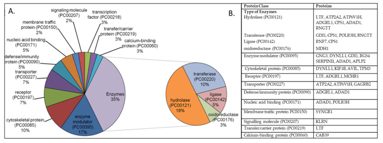 Classification of DEGs based on their protein class. The PANTHER Protein Class ID is mentioned with the protein class. (A) Pie diagram showing the percentage of genes associated with different protein classes. (B) A list of differentially expressed genes belonging to a specific protein class. DEGs: Differentially expressed genes.