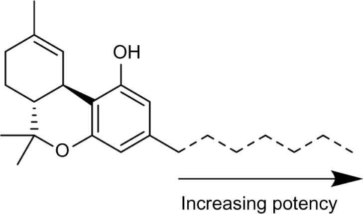 Relationship between alkyl chain length and CB receptor binding affinity.