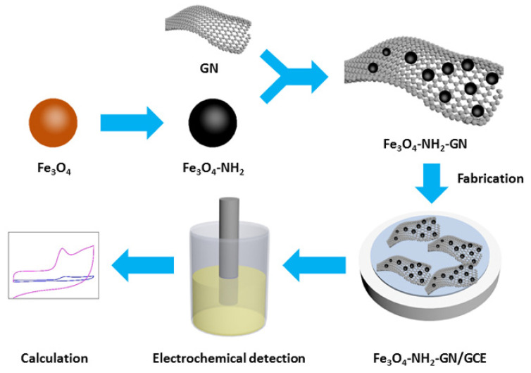 Diagram of Fe3O4-NH2-GN/GCE and electrochemical detection of CBD.