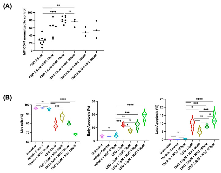 Effects of VDAC oligomerization inhibitor NSC15364 on CBD-induced effects on Jurkat cells. The cells were treated for 24 h under serum-free conditions with CBD (2.5 μM) alone or in combination with the inhibitor. Panel (A): The inhibitor rescues CBD-induced CD47 downregulation in Jurkat cells at a 50 μM concentration. The inhibitor’s effect is reduced at higher concentrations. Panel (B): The inhibitor reduced CBD-induced apoptosis at a 50 μM concentration; the effect was also reduced at higher concentrations. The results are shown from three independent experiments. Pairwise comparison labeled as follows: ns: non-significant; *: p < 0.05; **: p < 0.01; ***: p < 0.001; ****: p < 0.0001. The same treatment in (B) panels is indicated by the same color.