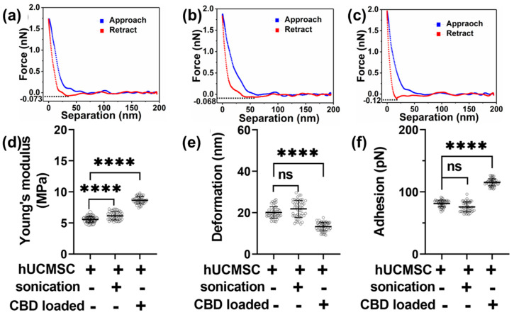 Nanomechanical characteristics of human mesenchymal stem cell (hUCMSC) EVs under various conditions. A representative force-separation curve displaying adhesion value corresponding to EVs derived from (a) hUCMSC, (b) hUCMSC post sonication (control), (c) CBD loaded hUCMSC. Nanomechanical attributes displaying (d) Young’s modulus, (e) Deformation, and (f) Adhesion. (Statistical significance: ns; not significant. ****; p < 0.0001).