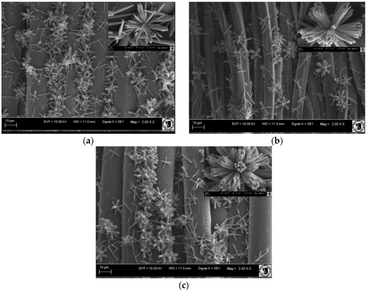 SEM images of ZnO deposited on: (a) PA; (b) PET; and (c) PP.