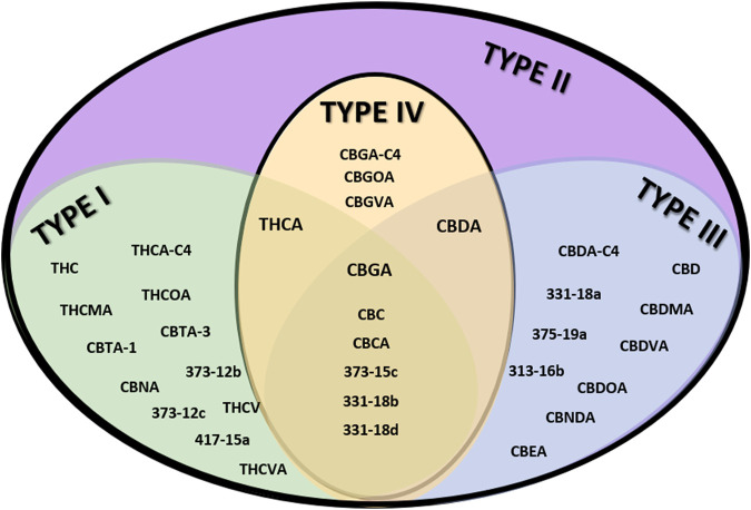 Venn diagram of the distribution of particular phytocannabinoids to specific chemovars. Examples of unique phytocannabinoids per chemovar type are shown in the appropriate subgroup.
