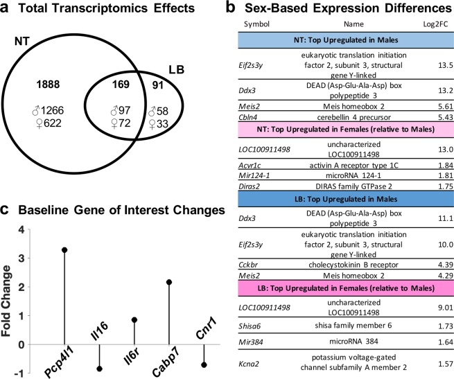 Summary of transcriptomics data for the cerebellar interpositus region. (a) Venn diagram depicting the number of genes significantly differing by sex within the no treatment (NT) or limited bedding (LB) groups and those impacted genes that are common between the two treatment groups. Top number in bold indicates the total number of genes changed, with ♂ and ♀ indicating number of genes upregulated in males and upregulated in females, respectively, as evidenced by log2 fold change data. (b) List of top upregulated genes in males and females within each treatment group based on the largest magnitude significant difference in expression, reported as log2 fold change (Log2FC). (c) Diagram depicting baseline significant expression differences (fold-change for five genes of interest, due to the relevance to the interpositus or cannabinoid system) between no treatment males and no treatment females. Positive values indicate upregulation in males while negative values indicate upregulation in females.