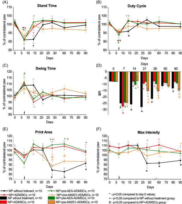 Impact of pharmacological modulation of CB1 receptors on membranes of adipose‐derived mesenchymal stem cells (ADMSCs) by pretreatment on changes in gait parameters (A–F) in rats with neuropathic pain. The arrow indicates the time of transplantation of ADMSCs. Data were analyzed using repeated measures ANOVA with post hoc comparisons with the lowest significant differences method. [Color figure can be viewed at wileyonlinelibrary.com]