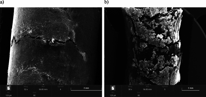 Pellet C: (a) surface area of fresh pellets; (b) surface area of pellets after moisture test.