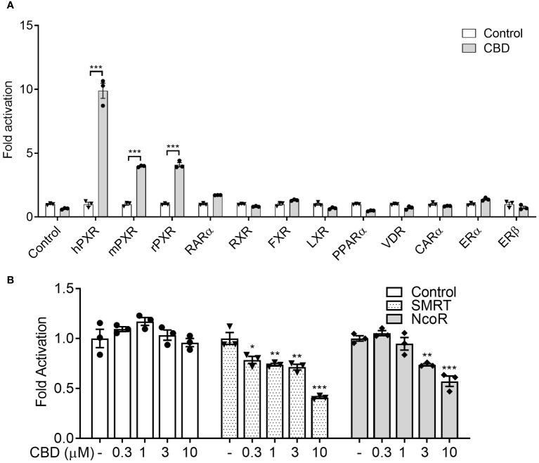 Evaluate if CBD is a selective PXR agonist. (A) HepG2 cells were transfected with a GAL4 reporter and a series of GAL4 plasmids in which the GAL4 DNA binding domain (DBD) is linked to the indicated nuclear receptor ligand binding domain (LBD). Cells were treated with DMSO control or 10 µM CBD for 24 hours (n=3, two-sample, two-tailed Student’s t-test, ***P<0.001 compared to control group). (B) HepG2 cells were transfected with a GAL4 reporter, VP16-hPXR vector, and expression vector for GAL4 DBD or GAL4 DBD linked to the receptor interaction domains of PXR co-repressors (GAL4-SMRT or GAL4-NCoR). Cells were treated with DMSO vehicle control or CBD at the indicated concentrations for 24 hours (n=3, one-way ANOVA, Dunnett’s t test for multiple comparisons to control, *P<0.05, **P<0.01, and ***P<0.001). Reporter gene activity was normalized to the β-gal transfection controls and the results were normalized to Relative Light Unit (RLU) per OD420 β-gal per minute to facilitate comparisons between plates. Fold activation was calculated relative to vehicle DMSO controls. Error bars represent ± SEM.
