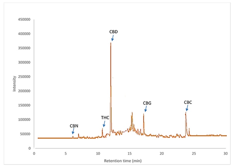 Chromatogram (TIC) of cannabis extract at optimum condition.