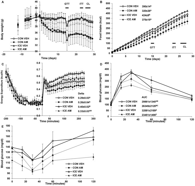 Effects of AM251 and cold exposure.Mice were administered vehicle or AM251 (3 mg/kg/day) by oral gavage. A: Caloric intake and B: body weight were measured three times per week on days of cold exposure. C: Mice at 30°C were administered CL316243 (100 µg/kg) at time 0 as described in Experimental Procedures (the prior AM251 was given at −24 hours). Inset shows the delta TEE, calculated as in Figure 2. 2-way ANOVA showed significant temperature (p<0.01) and drug (p<0.05) effects with no significant interaction (p = 0.62). D: Intra-peritoneal glucose tolerance tests (1 g/kg) were performed in overnight-fasted mice of the indicated treatment group two days after cold exposure. AUC numbers are in mg/dl•minute. E. Insulin tolerance test. Insulin (0.75 U/kg) was injected and blood glucose measured at the indicated times. GTT = intraperitoneal glucose tolerance test. CL = CL316243 experiment. ITT = insulin tolerance test. AM251 was administered 24 h prior to the GTT and ITT. In D & E, a poor-responding outlier in the CON AM group was removed from the analysis. If included in the ipGTT AUC, this group's AUC is 29304 ±3382 mg/dl min and the CON AM significantly different from the ICE AM group. All data are mean ±SE. N = 6/group. Levels not connected by same letter are significantly different (P<0.05).