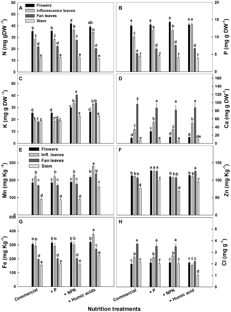 Distribution of macro and micronutrients between plant organs of medical cannabis plants as affected by enhanced nutrition supplements. Concentration of N (A), P (B), K (C), Ca (D), Mn (E), Zn (F), Fe (G), Cl (H) in flowers, fan leaves, inflorescence leaves, and stems. Presented data are averages ± SE (n = 6). Different letters above the bars represent significant differences between treatments by Tukey’s HSD test at α = 0.05.