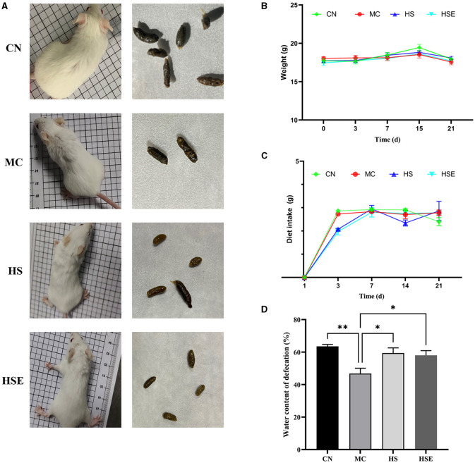 Effects of hemp seeds on the growth parameters and moisture content of feces in mice with constipation (A) Physiological status and feces of mice (B) Weight variation of mice (C) Food consumption of mice, and (D) Moisture content of feces. Results are provided as mean ± SEM (n = 4–6) *P < 0.05, and **P < 0.01 compared to constipation group.