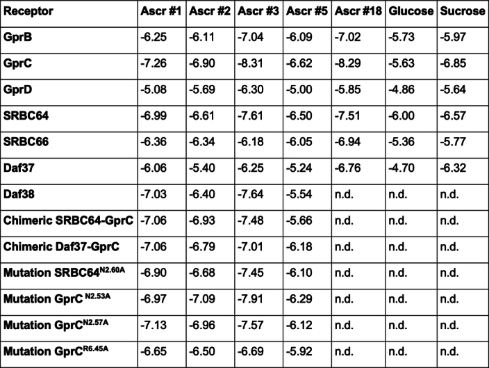 Binding affinities of the best binding poses in kcal/mol