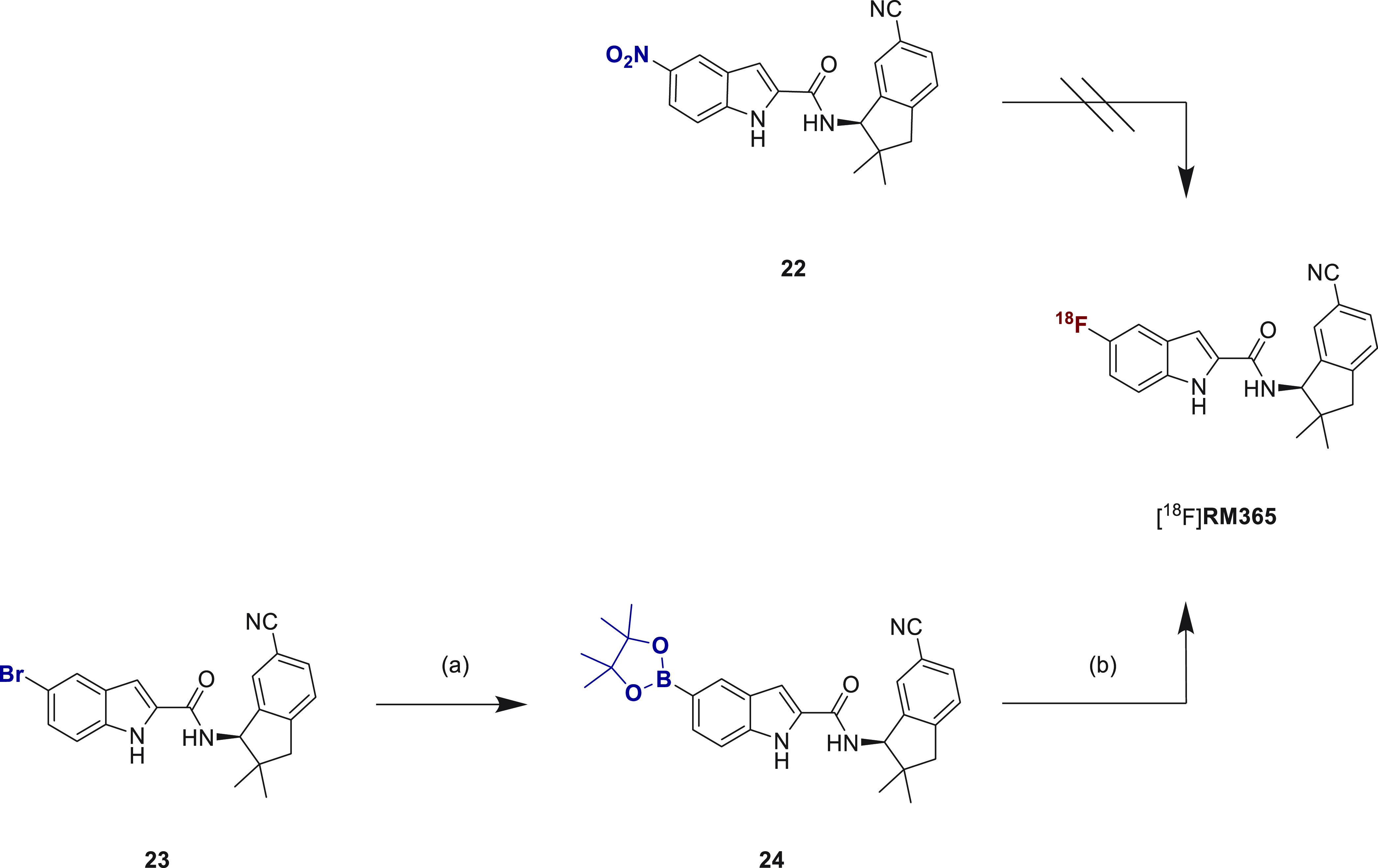 Radiosynthesis of [18F]RM365Reagents and conditions: (a) Pd(dppf)Cl2, KOAc, Bis(pinakolato)-diboron, dioxane, 90 °C, 6 h, 85%; (b) [18F]TBAF, [Cu(OTf)2(Py)4] (25), DMA, t-BuOH, 120 °C, 10 min, 54% (RCC as judged by radio-HPLC analysis of the raw reaction mixture). Abbreviations: [Cu(OTf)2(Py)4], tetrakis(pyridine)copper(II) triflate; Pd(dppf)Cl2, [1,1′-bis(diphenylphosphino)ferrocene]dichloro-palladium(II); DMA, N,N-dimethylacetamide; KOAc, potassium acetate; TBAF, tetrabutylammonium fluoride; t-BuOH, tert-butanol; K222 4,7,13,16,21,24-Hexaoxa-1,10-diazabicyclo[8.8.8]hexacosan.