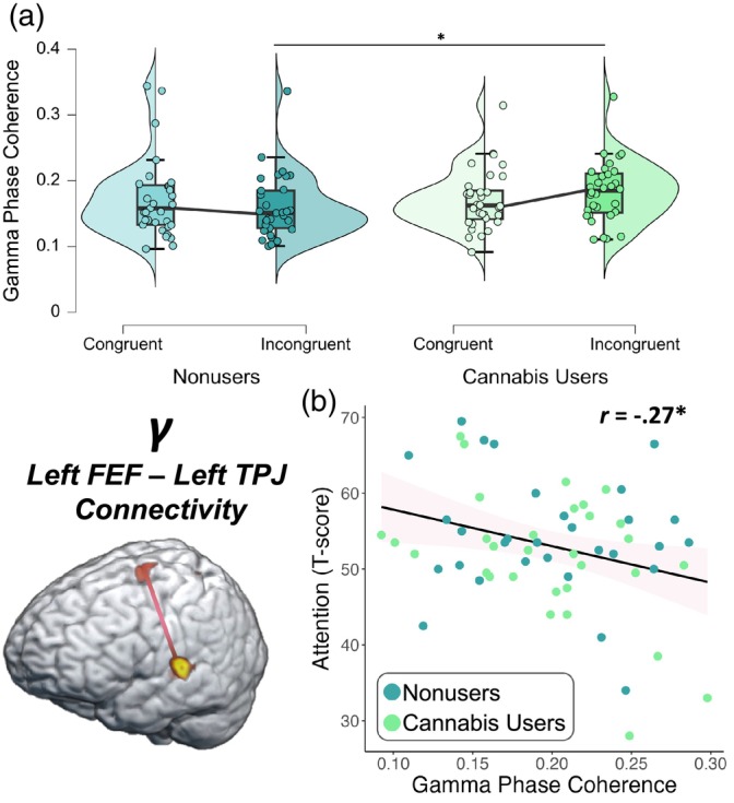 Neurobehavioral relationships in gamma phase locking between the left frontal eye fields (FEF) and temporoparietal junction (TPJ) by cannabis use status. Gamma phase locking was computed as a measure of dynamic functional connectivity between the left FEF and left TPJ. Controlling for source power, (a) cannabis users exhibited stronger gamma phase locking between the left FEF and left TPJ during the incongruent relative to the congruent condition, though this relationship was not observed among nonusers (p = .025). (b) Further, regardless of cannabis use status, poorer attention performance outside the scanner was associated with stronger gamma phase locking (i.e., hyperconnectivity) between the left FEF and left TPJ, controlling for source power (p = .037). The pink area surrounding the trendline represents the standard error of the mean. *p < .05.