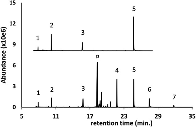 GC-MS chromatogram for a d9THC vaping liquid (peak label a, lower trace) in which a series of polyethylene glycol oligomers (PEG oligomers, peak labels 1 through 7) were identified as the diTMS derivatives. PEG oligomer standard mix (upper trace, condensed scale, offset) as follows: 1- tetraethylene glycol; 2- pentaethylene glycol; 3- hexaethylene glycol; 5- octaethylene glycol.
