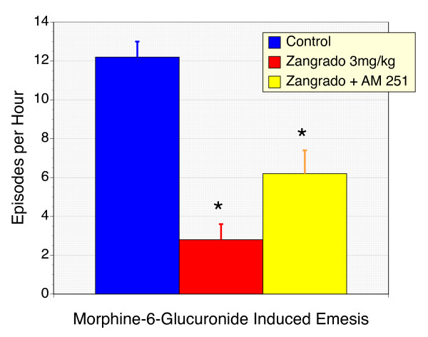 Suppression of morphine-6-glucuronide-induced vomiting and retching in ferrets with Zangrado, and the effects of CB1 receptor antagonism with AM 251. Ferrets treated with the opioid narcotic, morphine-6-glucuronide (M6G) display a substantial emetic response with on average over 12 episodes per hour. Zangrado administration (3 mg/kg ip) 15 minutes prior to M6G resulted in a 77% reduction in emetic episodes (n = 6, P < 0.01). Co-administration of Zangrado with the CB receptor antagonist, AM 251 (5 mg/kg, ip) failed to reverse the anti-emetic effects of Zangrado (n = 6). The slight increase in emetic episodes with AM 251 is comparable to that seen with ferrets treated with AM 251 alone and is thought to reflect the anti-emetic effects of endogenous cannabinoids [20,21].