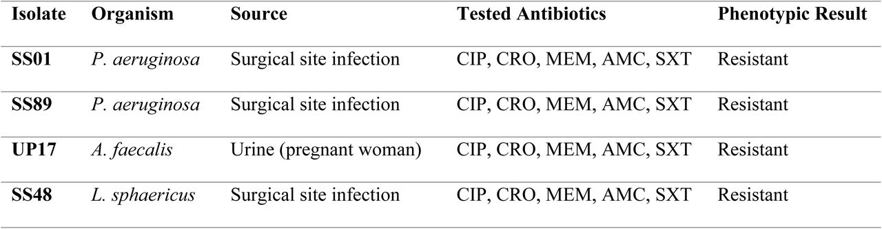 Antibiotic susceptibility patterns observed across all isolates