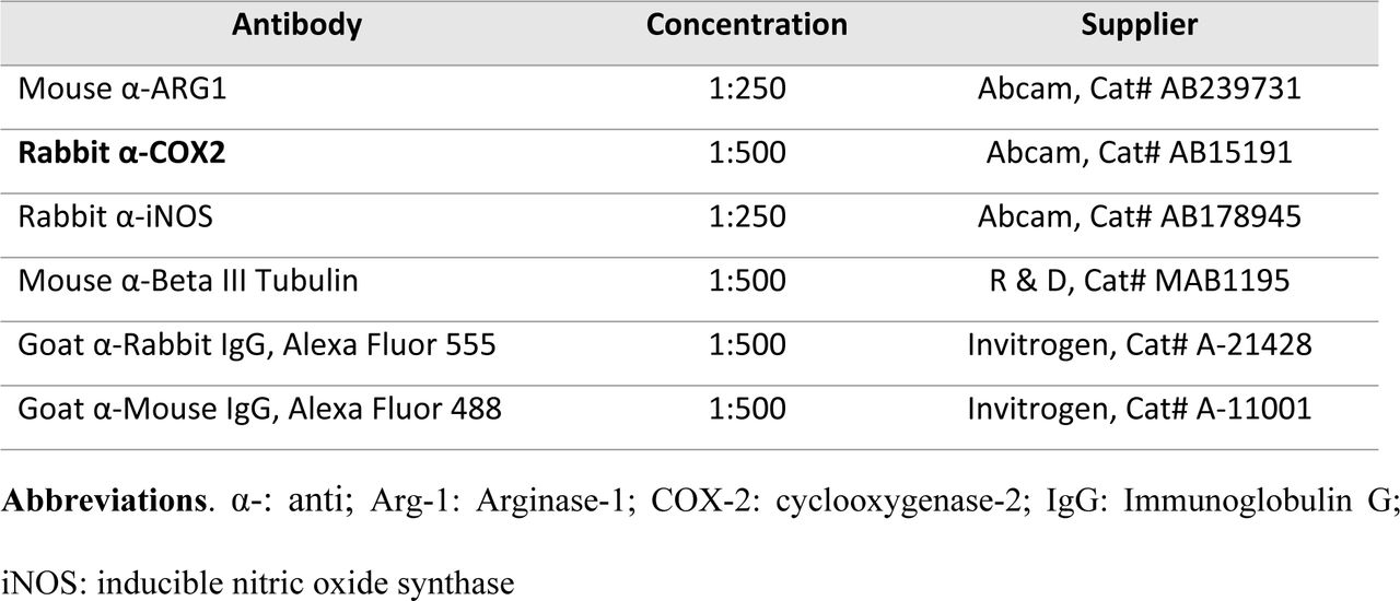 Primary and secondary antibodies