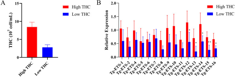A The total hemocyte count (THC) of T. granosa high and low THC populations. For more information on THC of T. granosa, please refer to Additional file 3. B Relative ETS genes expression in gill of T. granosa high and low THC populations