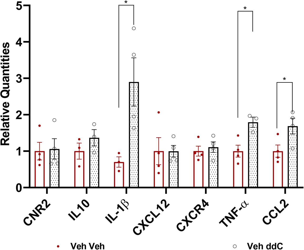 Impact of toxic challenge with ddC on CB2, cytokine and chemokine mRNA expression levels in lumbar spinal cord derived from male wildtype mice.ddC treatment produced an upregulation of IL-1β, TNF-α, and CCL2 in the lumbar spinal cord compared with the saline group similarly injected with vehicle (i.p.). Values were calculated using the 2(-ΔΔCt) method. GAPDH was used as reference gene. Data are expressed as mean ± S.E.M. (n=4 per group). * p<0.05 vs. vehicle, unpaired sample two tailed t-test.