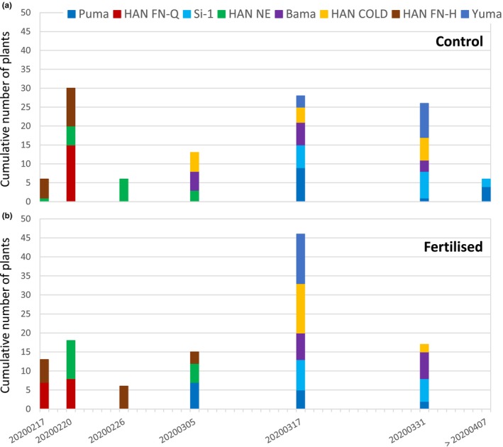 Comparison of flowering time of the eight Cannabis sativa L. cultivars. Numbers of plants per cultivar which flowered at a certain date are represented as stacked bars. (a) shows results from plants grown under control conditions and (b) from plants grown under fertilized conditions.