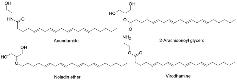 Chemical structure of the main ECs found in humans acting on CB1 and/or CB2 receptors.