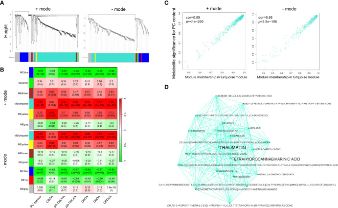 Weighted correlation network analysis of inflorescence metabolomes. (A) Clustering dendrograms of putative metabolites from UHPLC-HESI/HRMS analysis with assigned module colours. Dissimilarity based on topological overlap. (B) Module–chemotype associations. Rows correspond to a module eigenmetabolites, and columns correspond to the dry weight (w/w) PC content. The correlation and p-value are displayed in each cell in parenthesis. (C) Scatter plot of metabolite significance for PC content vs turquoise module membership and (D) visualization of the network connections among the most connected genes in the turquoise module. Module membership (MM) represents the intramodular connectivity of a metabolite in each module. A high MM indicates that a metabolite has a high correlation with the module eigenmetabolites.