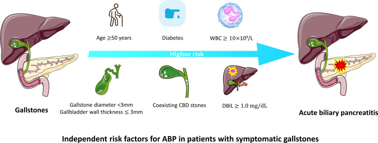 Independent risk factors for ABP in patients with gallstones.