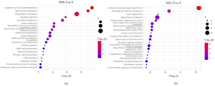 KEGG metabolic pathway enrichment bubble map between drought and control groups: (a) positive ion mode; (b) negative ion mode. Bubble sizes represent the numbers of metabolites in metabolic pathways whose levels were found to be altered. Bubble colors represent p-values from low (blue) to high (red).