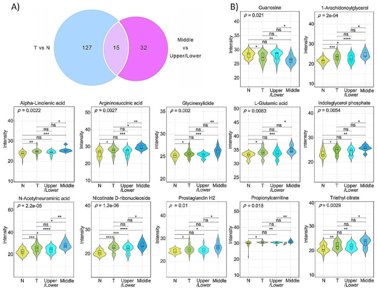 Differentially expressed metabolites in gastric cancer tissue and that in middle third gastric cancer. (A) Venn Diagram showed the intersection of the differentially expressed metabolites in gastric cancer tissues and that in middle third gastric cancer. (B) The expression level of 12 overlapping metabolites in normal tissues (N), gastric cancer tissues (T), middle third gastric cancer (Middle) and upper/lower third gastric cancer (Upper/Lower). *p < 0.05, **p < 0.01, ***p < 0.001, ns, no significance
