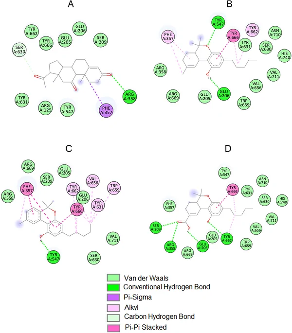 2D molecular interactions of C. sativa inflorescence: (A) 11‐ketoprogesterone, (B) 9‐tetrahydrocannabinol, (C) cannabinol, and (D) tetrahydrocannabinol‐7‐oic acid with DPP‐4 active site amino acid residues. Images generated using BIOVIA Discovery Studio V. 24.1.0.23298.